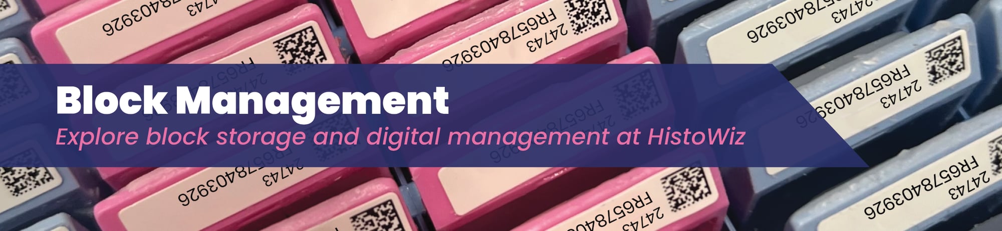 Block-Management-LP-Hero Block-Management-LP-Hero